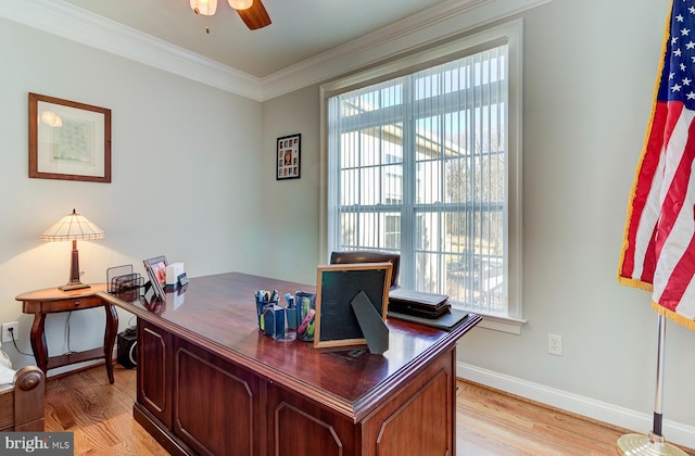 home office featuring ceiling fan, ornamental molding, and light hardwood / wood-style flooring