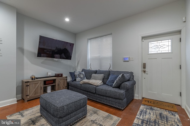 living room featuring dark wood-type flooring