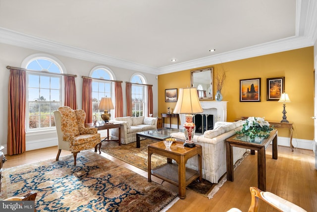 living area featuring light wood-style floors, baseboards, a fireplace, and ornamental molding