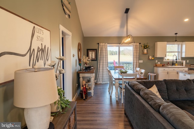 living room featuring dark wood-type flooring, lofted ceiling, and sink