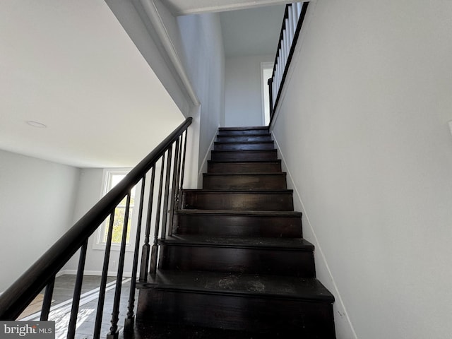 stairway with hardwood / wood-style flooring