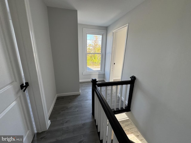 corridor featuring dark wood-type flooring