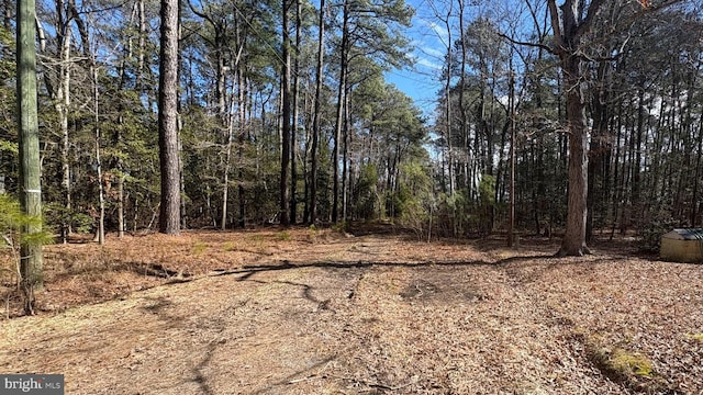 view of local wilderness featuring a view of trees