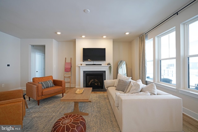 living room featuring hardwood / wood-style floors and plenty of natural light