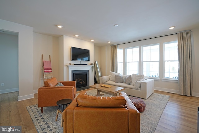 living room featuring light hardwood / wood-style flooring