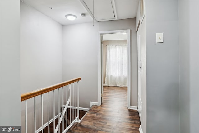 hall featuring dark hardwood / wood-style floors