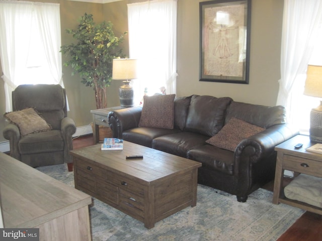 living room featuring hardwood / wood-style flooring and baseboard heating