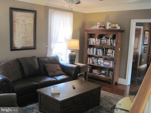 living room with dark hardwood / wood-style floors, ceiling fan, and crown molding