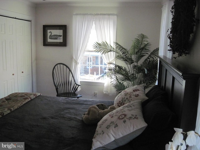 bedroom featuring crown molding and a closet