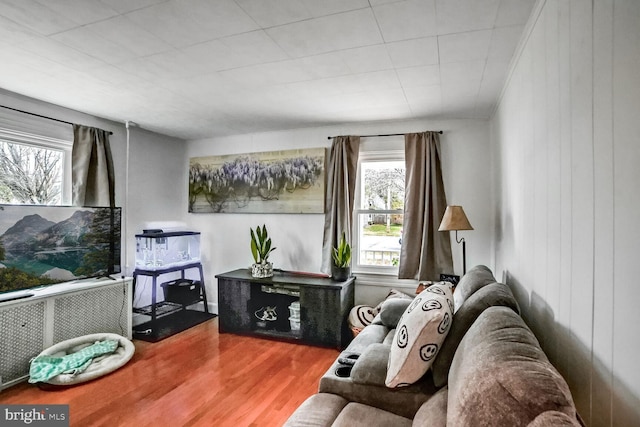 living room featuring hardwood / wood-style floors and wood walls