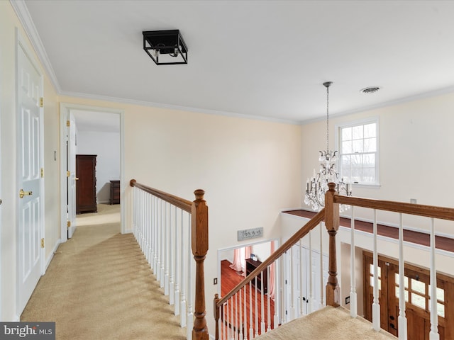 hallway featuring a chandelier, light colored carpet, and ornamental molding