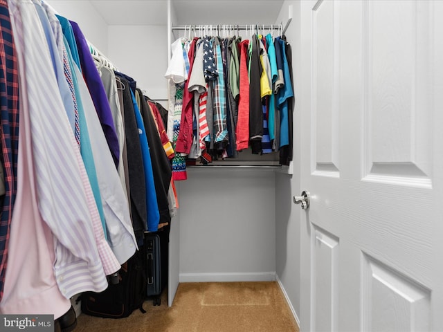 spacious closet featuring carpet floors