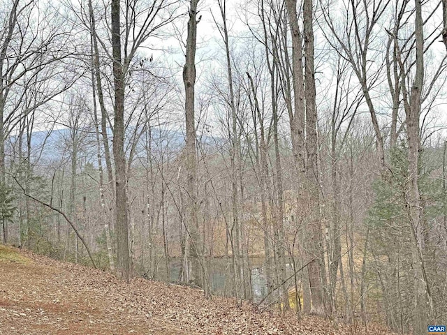 Listing photo 3 for 93 Ironwood Ln, Nellysford VA 22958