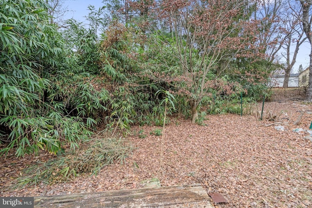 6136 Sinbad Pl, Columbia, MD 21045 - view of yard