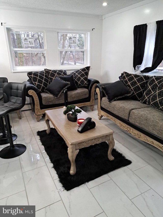 living room with a textured ceiling and a baseboard heating unit