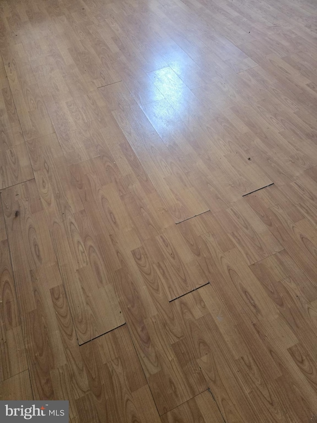 details with hardwood / wood-style flooring