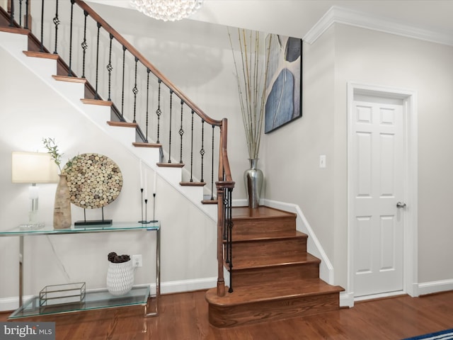 stairs with hardwood / wood-style floors and ornamental molding