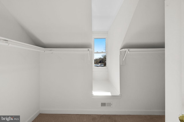 spacious closet featuring carpet