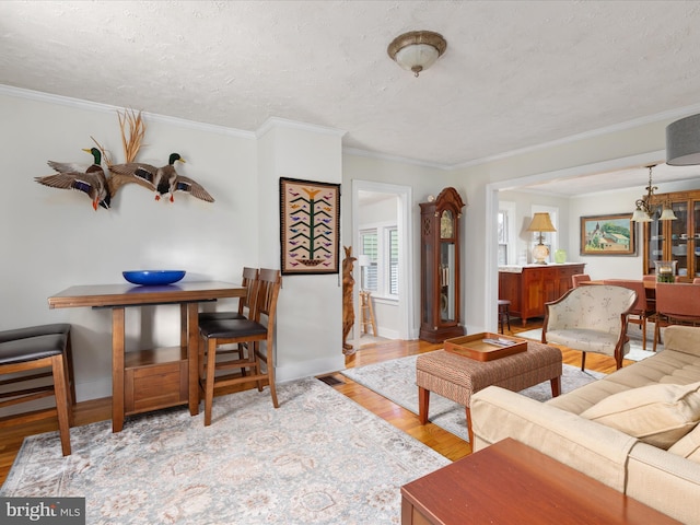 living room featuring an inviting chandelier, ornamental molding, a textured ceiling, and light wood-type flooring