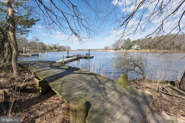 dock area with a water view