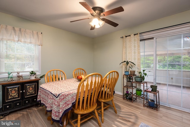 dining room featuring wood-type flooring, a wealth of natural light, and ceiling fan