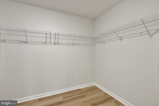 spacious closet featuring hardwood / wood-style flooring