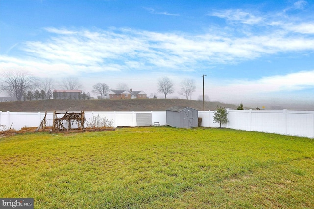 view of yard featuring a storage unit