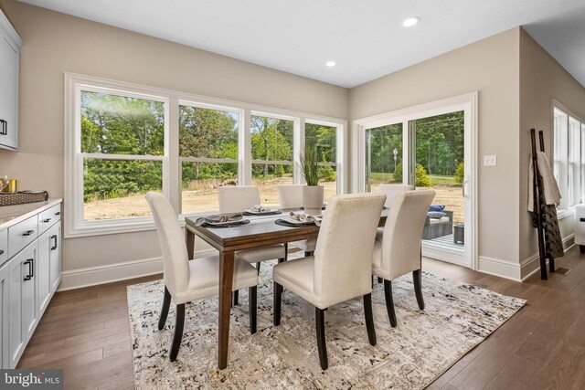 dining room with dark hardwood / wood-style floors and plenty of natural light