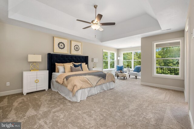 bedroom with a raised ceiling, ceiling fan, and carpet floors