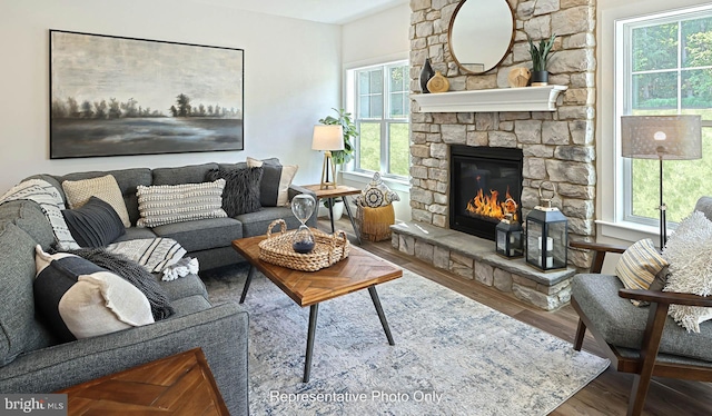 living room with wood-type flooring and a fireplace