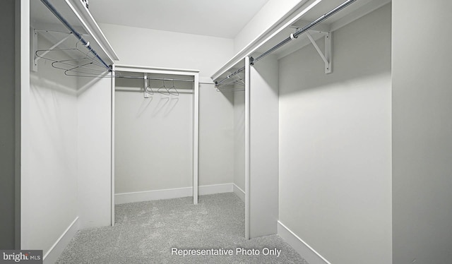 spacious closet with carpet flooring