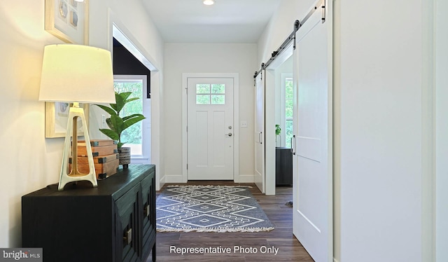 entryway with a barn door, a wealth of natural light, and dark hardwood / wood-style flooring