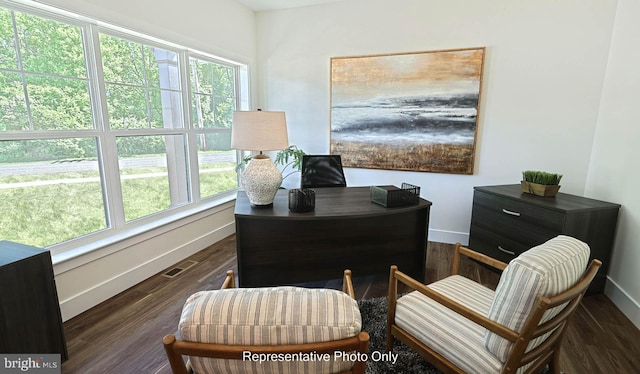 interior space featuring a healthy amount of sunlight and dark hardwood / wood-style flooring