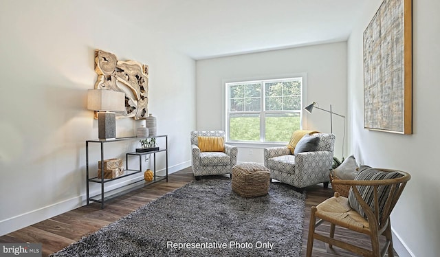 sitting room featuring dark hardwood / wood-style floors