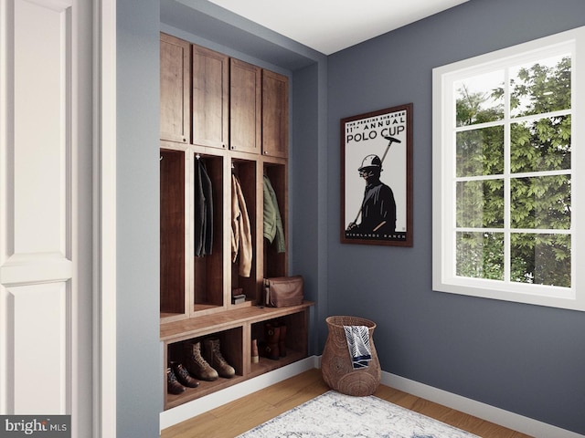 mudroom with hardwood / wood-style floors