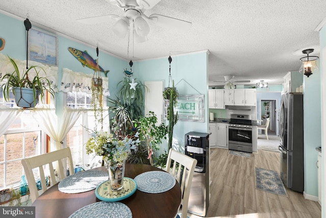 dining room featuring a textured ceiling, ceiling fan, crown molding, and light hardwood / wood-style flooring