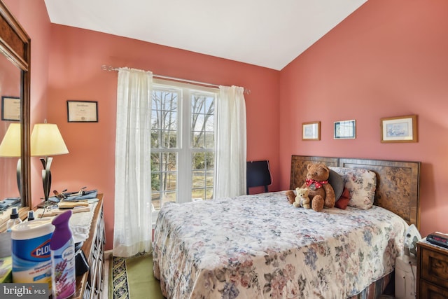 bedroom with lofted ceiling