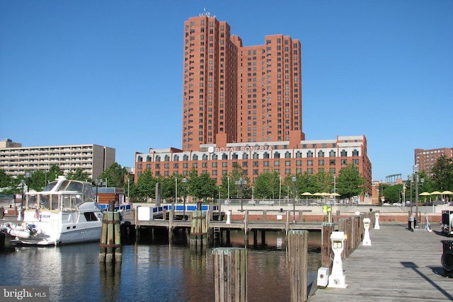 dock area with a water view