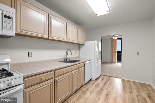 kitchen with ceiling fan, sink, light hardwood / wood-style floors, a textured ceiling, and white appliances