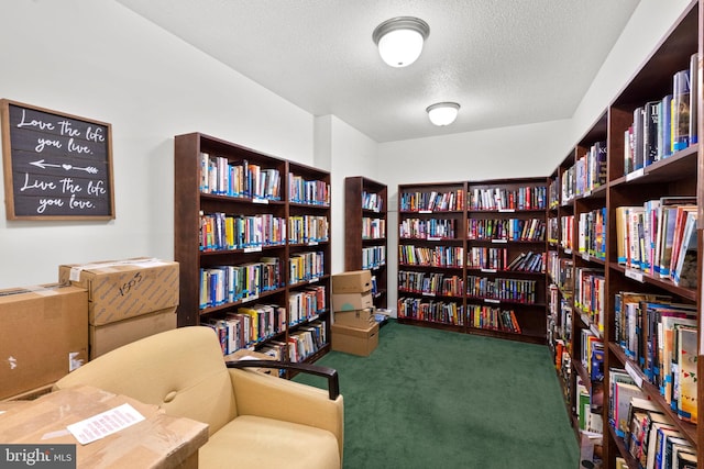 living area with carpet and a textured ceiling