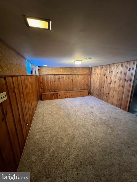 additional living space featuring wood walls and carpet flooring