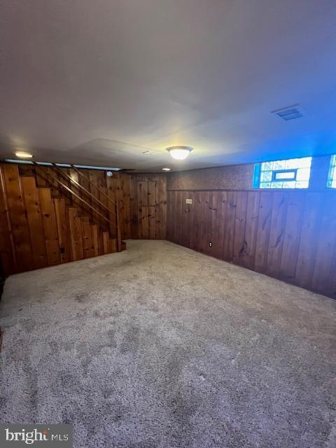 basement featuring wood walls and carpet floors