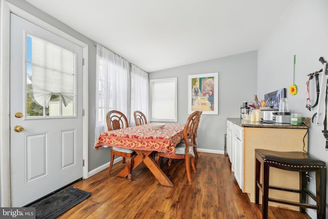 dining room featuring dark wood-type flooring