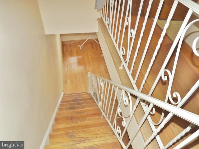 staircase with hardwood / wood-style floors