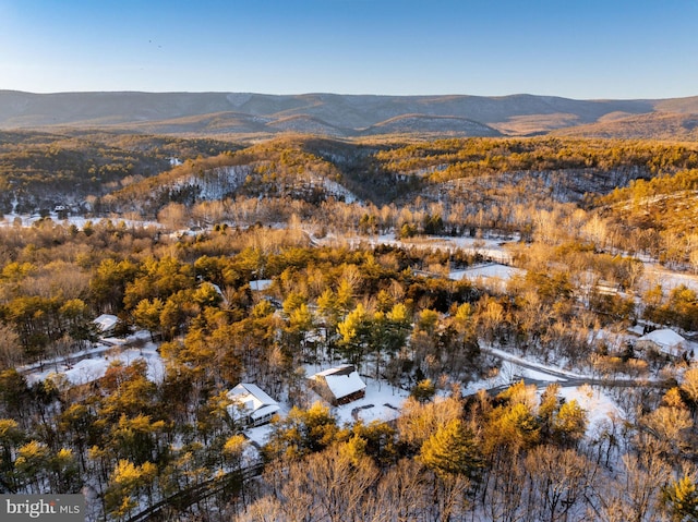 drone / aerial view with a mountain view