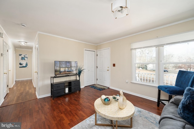 living room featuring crown molding and dark wood-type flooring