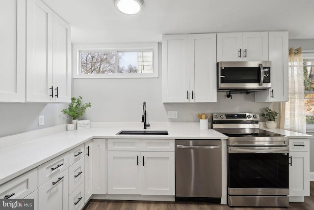 kitchen featuring stainless steel appliances, white cabinetry, and sink