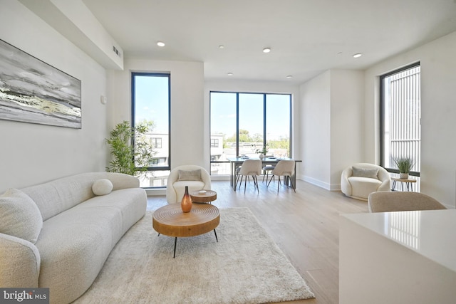 living room with a healthy amount of sunlight and light hardwood / wood-style floors