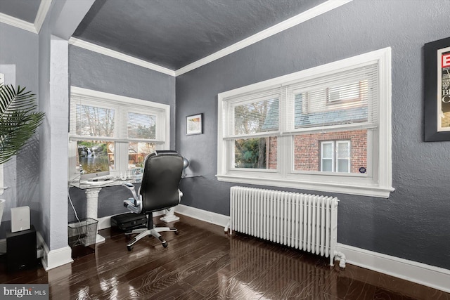 office featuring radiator, ornamental molding, and hardwood / wood-style flooring