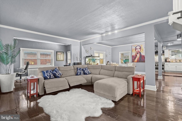 living room featuring radiator heating unit, dark wood-type flooring, a textured ceiling, ornamental molding, and sink